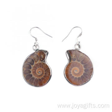 Conch Shell Fossils Animal Dangle Hook Earring